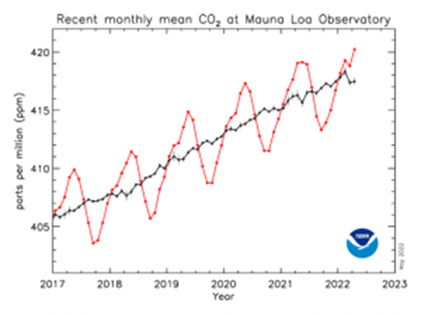 Andamento della concentrazione di CO2  nel tempo con differenti range temporali