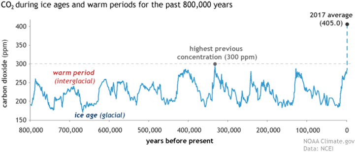 Andamento della concentrazione di CO2  nel tempo con differenti range temporali