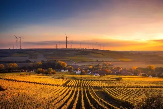 Biometano: dalle Energy crops alle porte di casa tua