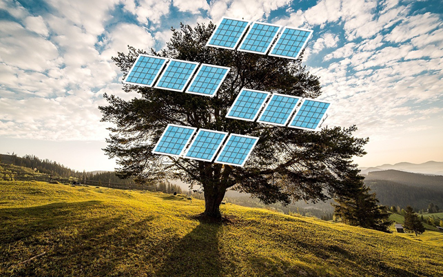 Per fare un albero ci vuole il sole: alberi fotovoltaici